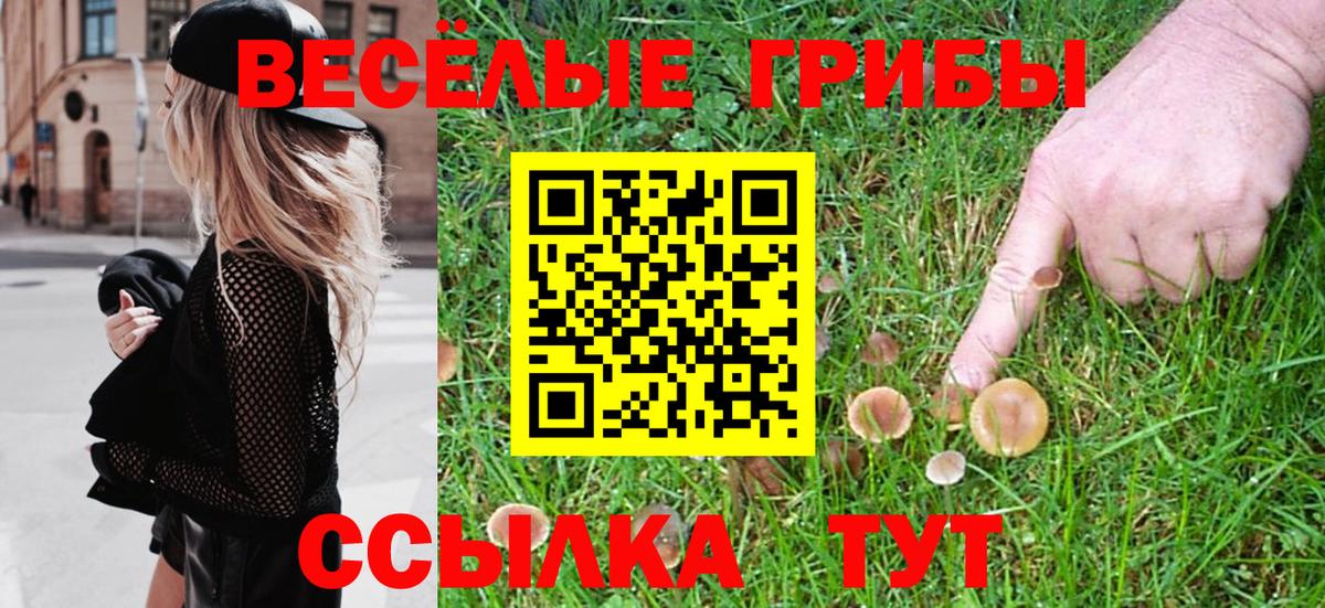 Псилоцибиновые грибы Psilocybine cubensis Псков